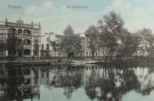 Toruń Nad stawem - Reprodukcja 7491