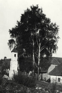 Błędów - Reprodukcja 15487