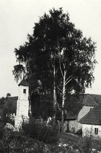 nowe-15487.jpg