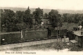 nowe-7611.jpg