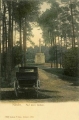 nowe-7683.jpg