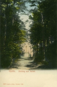 Koszalin krzyż - Reprodukcja 7685