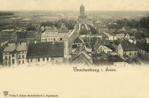 Żmigród Panorama  - Reprodukcja 7747