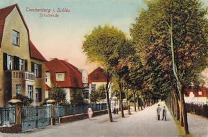 Żmigród ul. Szkolna - Reprodukcja 7751