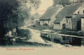 nowe-7798.jpg
