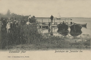 Mielno jezioro Jamno - Reprodukcja 8035