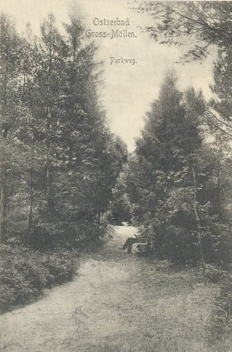 nowe-8047.jpg