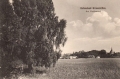 nowe-8053.jpg