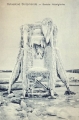 nowe-8093.jpg
