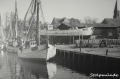 nowe-8240.jpg