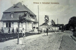 Sarbinowo - Reprodukcja 8256