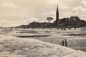 Sarbinowo plaża - Reprodukcja 8260