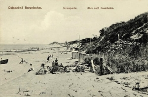 Sarbinowo plaża - Reprodukcja 8264