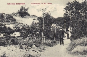 Sarbinowo promenada - Reprodukcja 8267