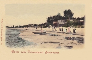 Sarbinowo plaża - Reprodukcja 8268