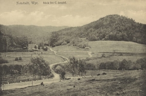 Wejherowo Panorama - Reprodukcja 8303