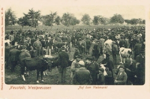 Wejherowo Targowisko - Reprodukcja 8341