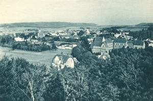 Wejherowo Panorama - Reprodukcja 8350