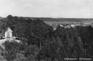 Wejherowo Panorama - Reprodukcja 8353