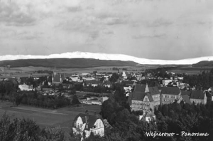 Wejherowo Panorama - Reprodukcja 8354