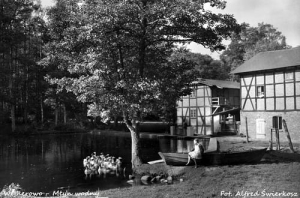 Wejherowo Młyn wodny - Reprodukcja 8369