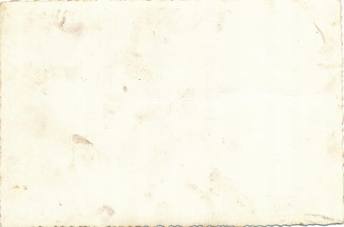 7460744473_1