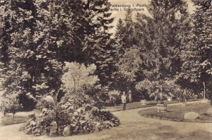 Złocieniec Park zamkowy - Reprodukcja 16120