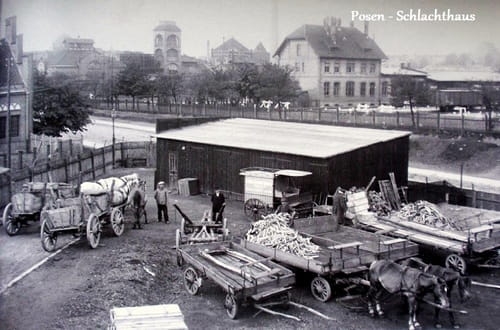 nowe-8420.jpg
