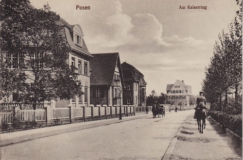 nowe-8421.jpg