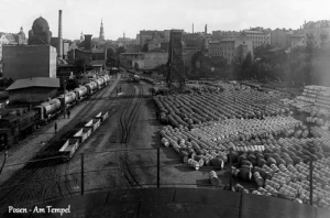 Poznań ul. Bóżnicza  - Reprodukcja 8423