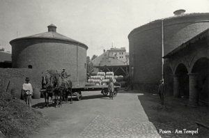 Poznań ul. Bóżnicza  - Reprodukcja 8424