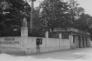 Poznań Stare Zoo  - Reprodukcja 8427