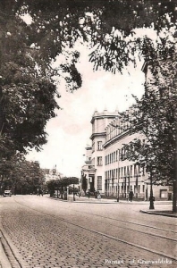 Poznań ul. Grunwaldzka - Reprodukcja 8434