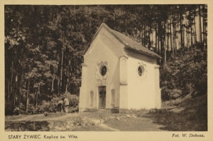 Żywiec Kaplica św. Wita - Reprodukcja 5166