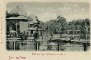 Poznań Stare Zoo - Reprodukcja 8512