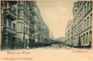 Poznań ul. Działyńskich - Reprodukcja 8519