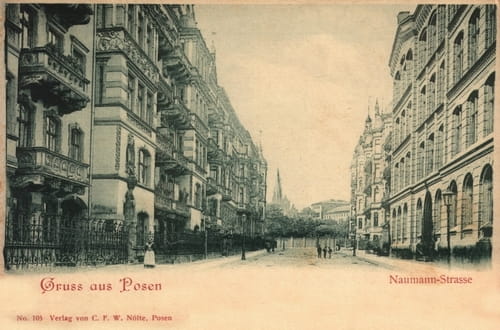 nowe-8519.jpg