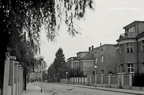 nowe-8527.jpg