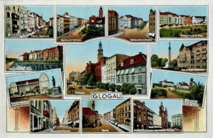 Głogów widokowa - Reprodukcja 8552