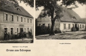 Głogów Krzepów  - Reprodukcja 8578