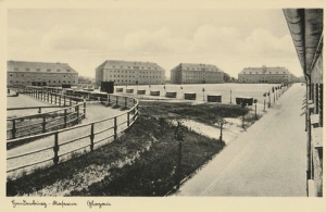 Głogów Koszary - Reprodukcja 8600