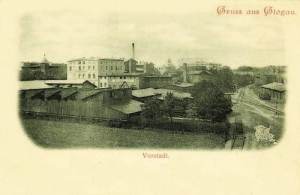 Głogów Glogau  - Reprodukcja 8618