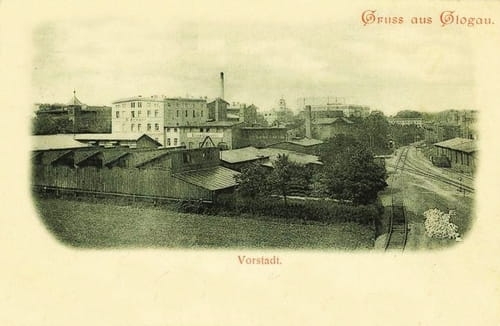 nowe-8618.jpg