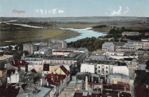 Głogów widok ogólny - Reprodukcja 8627