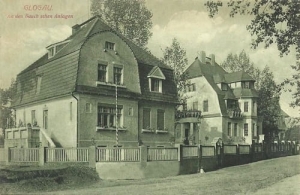 Głogów Glogau  - Reprodukcja 8658