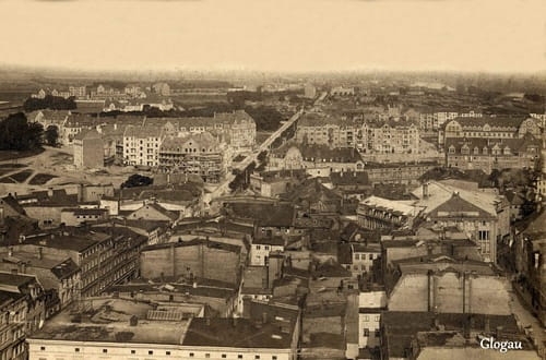 nowe-8688.jpg