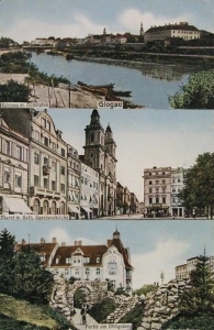 Głogów widokowa - Reprodukcja 8695