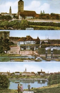 Głogów widokowa - Reprodukcja 8699