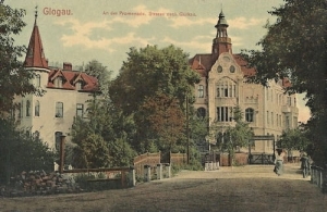 Głogów Glogau - Reprodukcja 8702