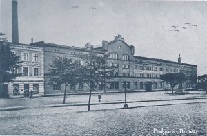 Toruń Podgórz  Browar - Reprodukcja 485